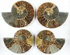 Lot: - Cut Ammonite Pairs (Grade B/C) - Pairs #85220-4
